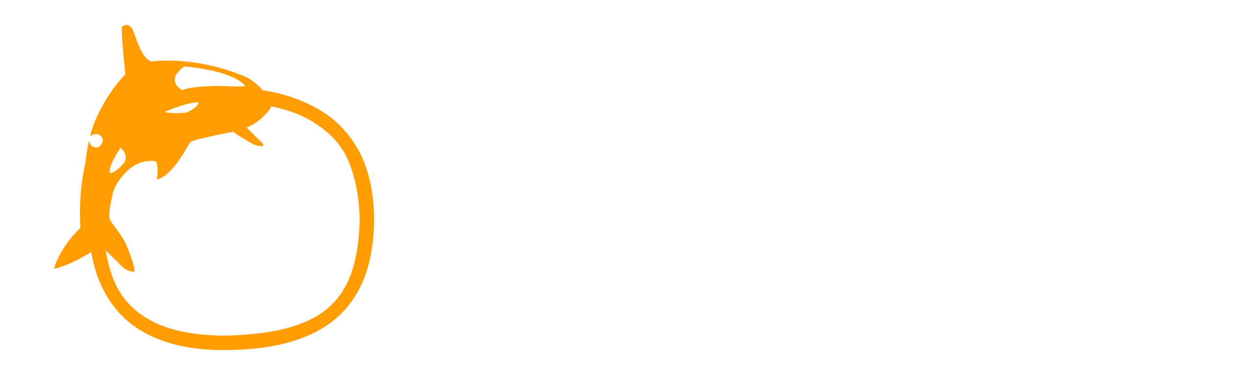 OWT India logo – Orca Web Technologies digital marketing and web development company