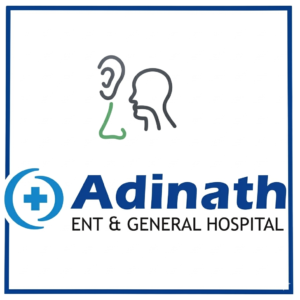 adinath ent hospital website development seo